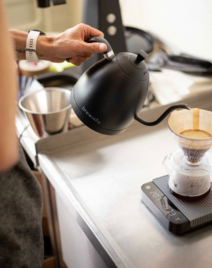 BREWISTA - Artisan 1L Kettle - Black