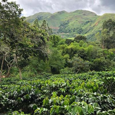 PERU
