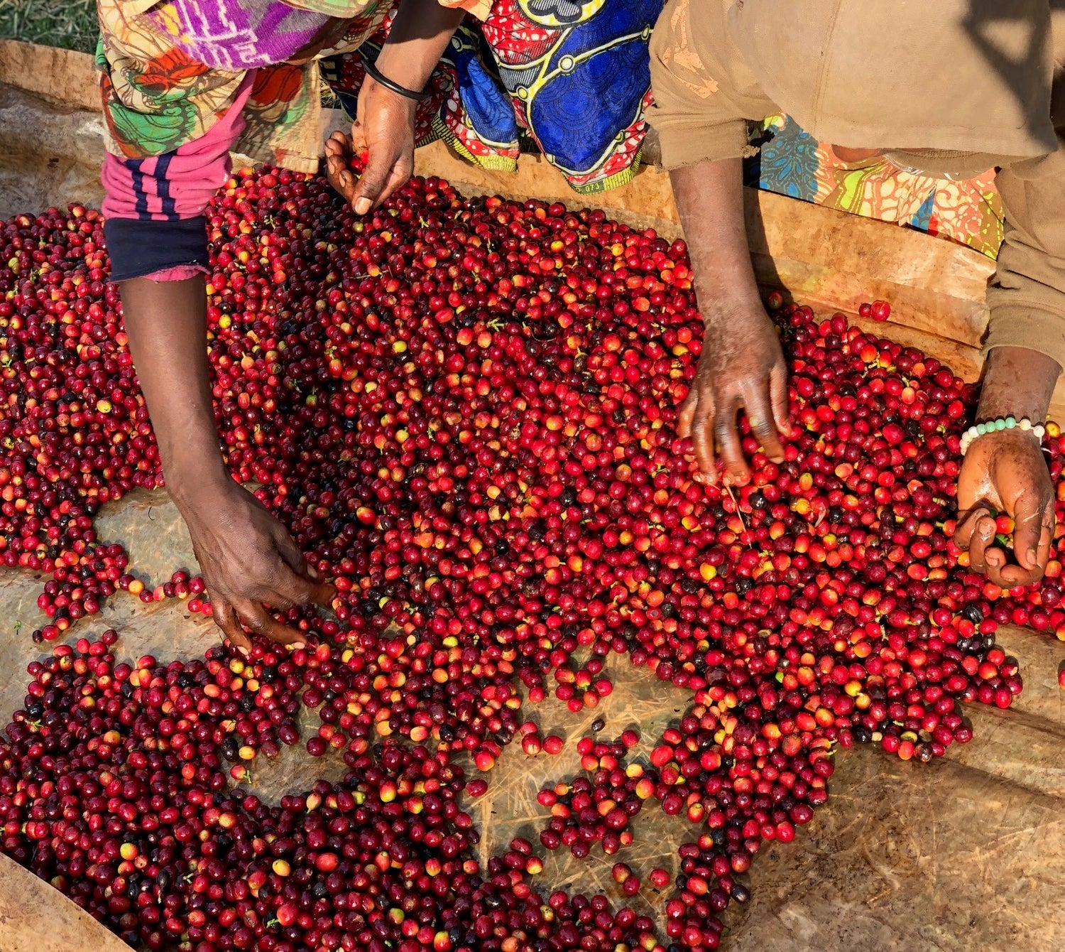 SINGLE ORIGIN - 3 MONTH SUBSCRIPTION