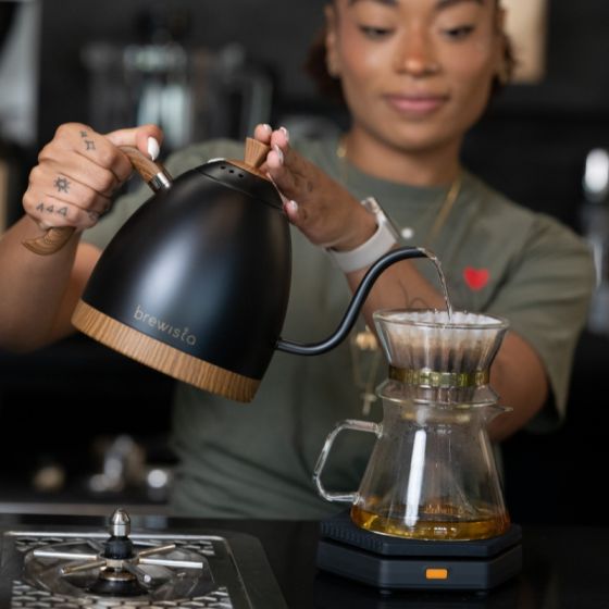 BREWISTA - Artisan 1L Kettle - Black