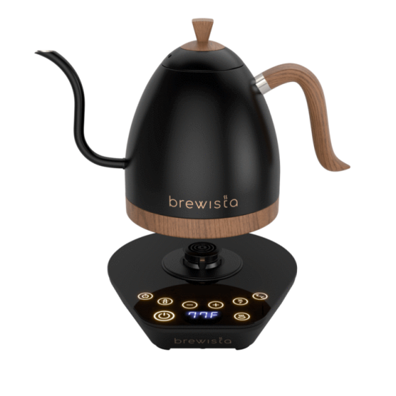 BREWISTA - Artisan 1L Kettle - Black